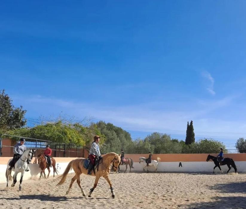 Finca Sa Sort Santanyí Εξωτερικό φωτογραφία